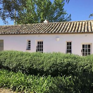 Suite Master con Cama King